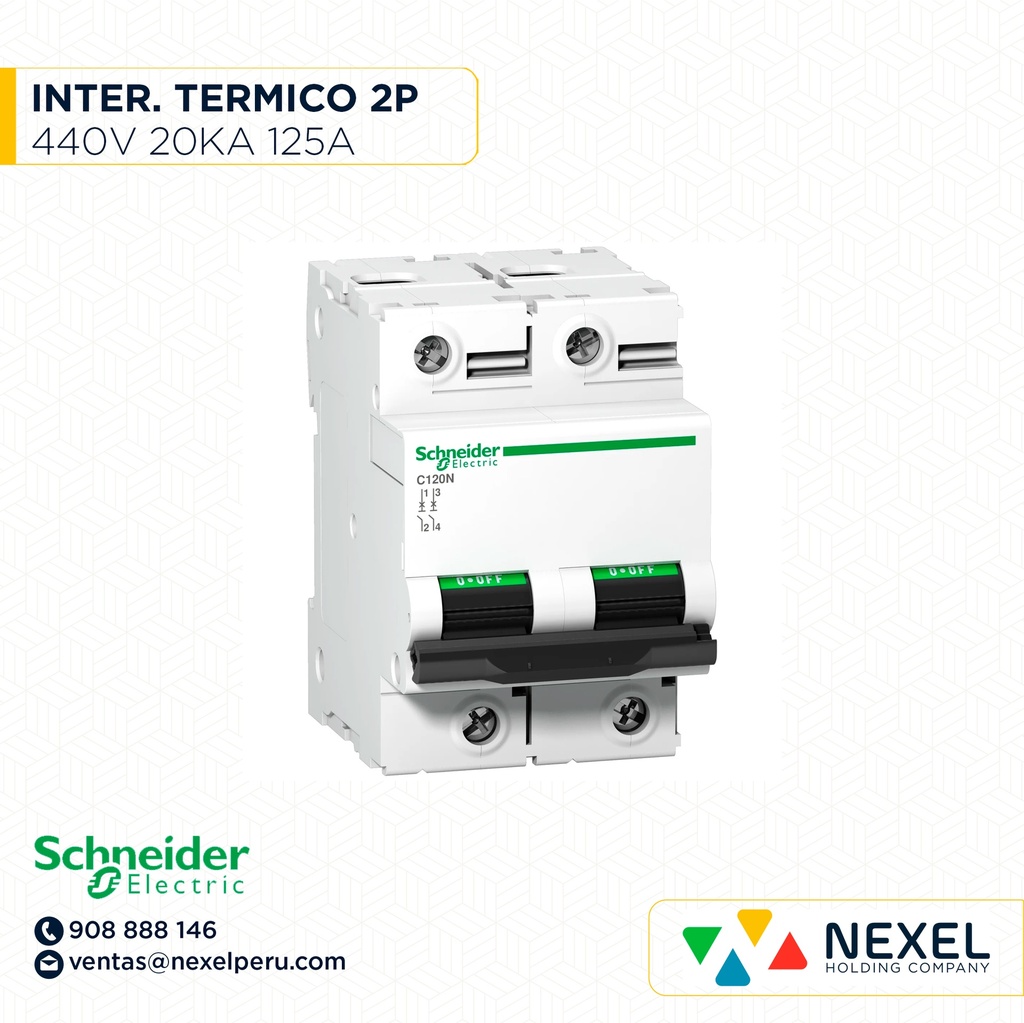 INTERRUPTOR AUT TERMOMAG P/RIEL 2P 125A 230/440VAC 20/6KA C120N A9N18363 SCHNEIDER